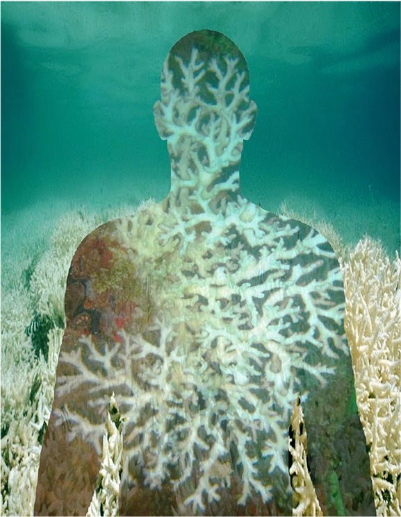 BODY CORAL